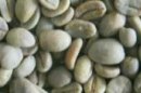Grade 1 green coffee beans
